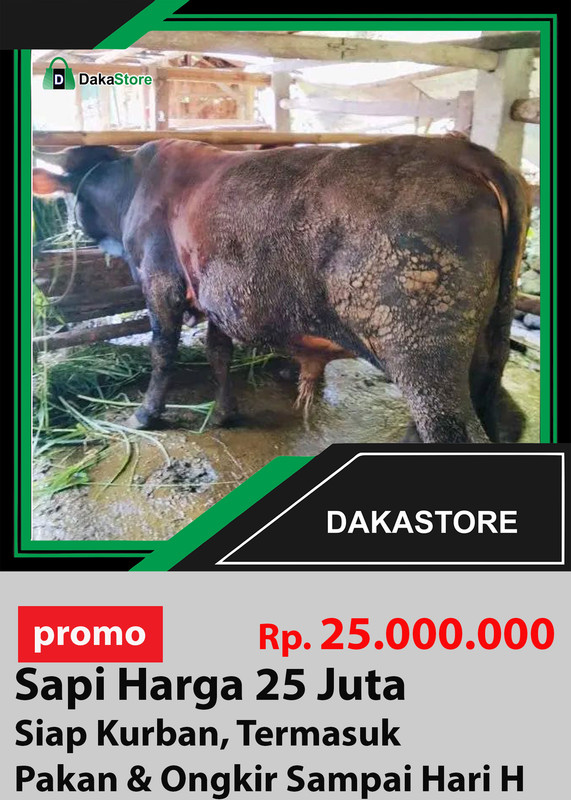 sapi 25 jt