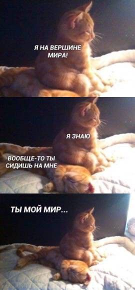 41ccbadb613082759d70f62a340bf7b6.jpg