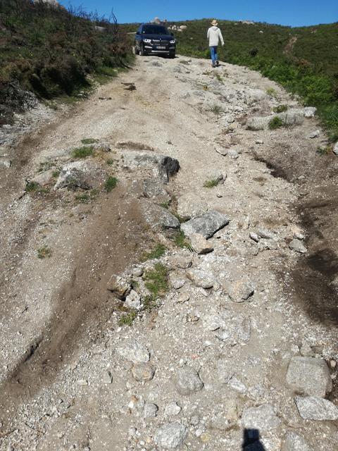 IMG-20190519-105324.jpg