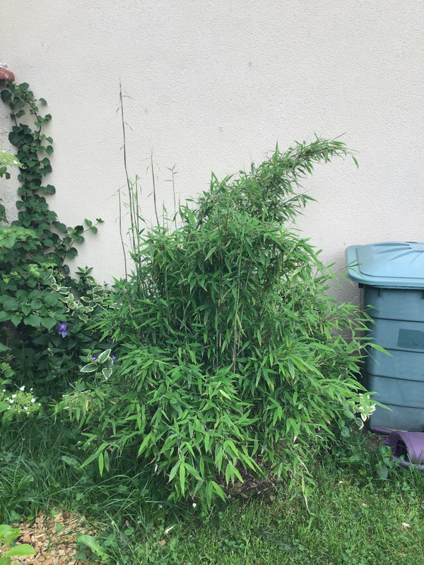 83014E71-94C4-4735-9C0D-DC69A3A10E2E