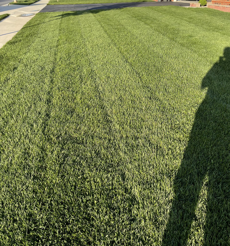 D6C77DD0-98AC-41DB-8843-A070393FDD1C