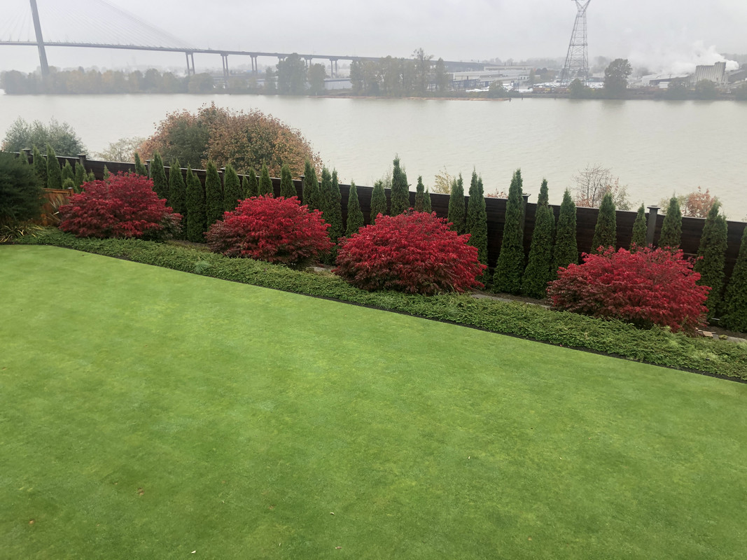 1AD162B1-C81D-4B75-9AA4-9F812554CEFF