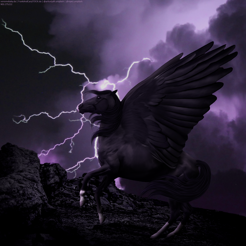 pegasus-lightning.png