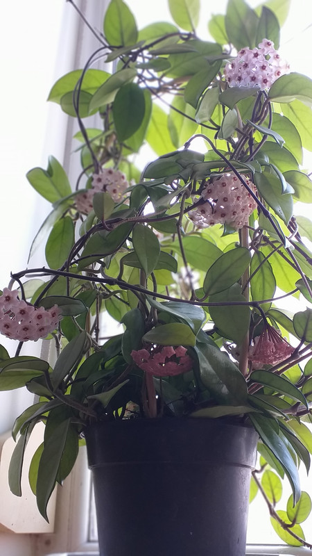 359461512_10227006716891272_4568109928884808756_n