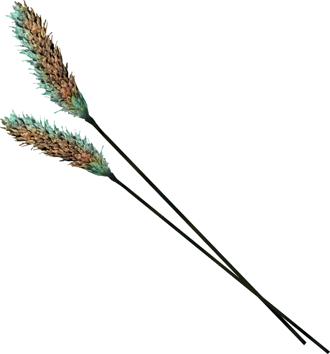 Autumn Witchery (133)