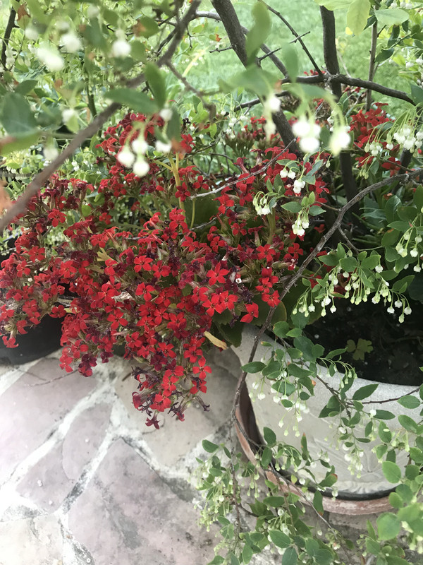 D01B2211-C3E1-46D0-BA10-7D4D92577292