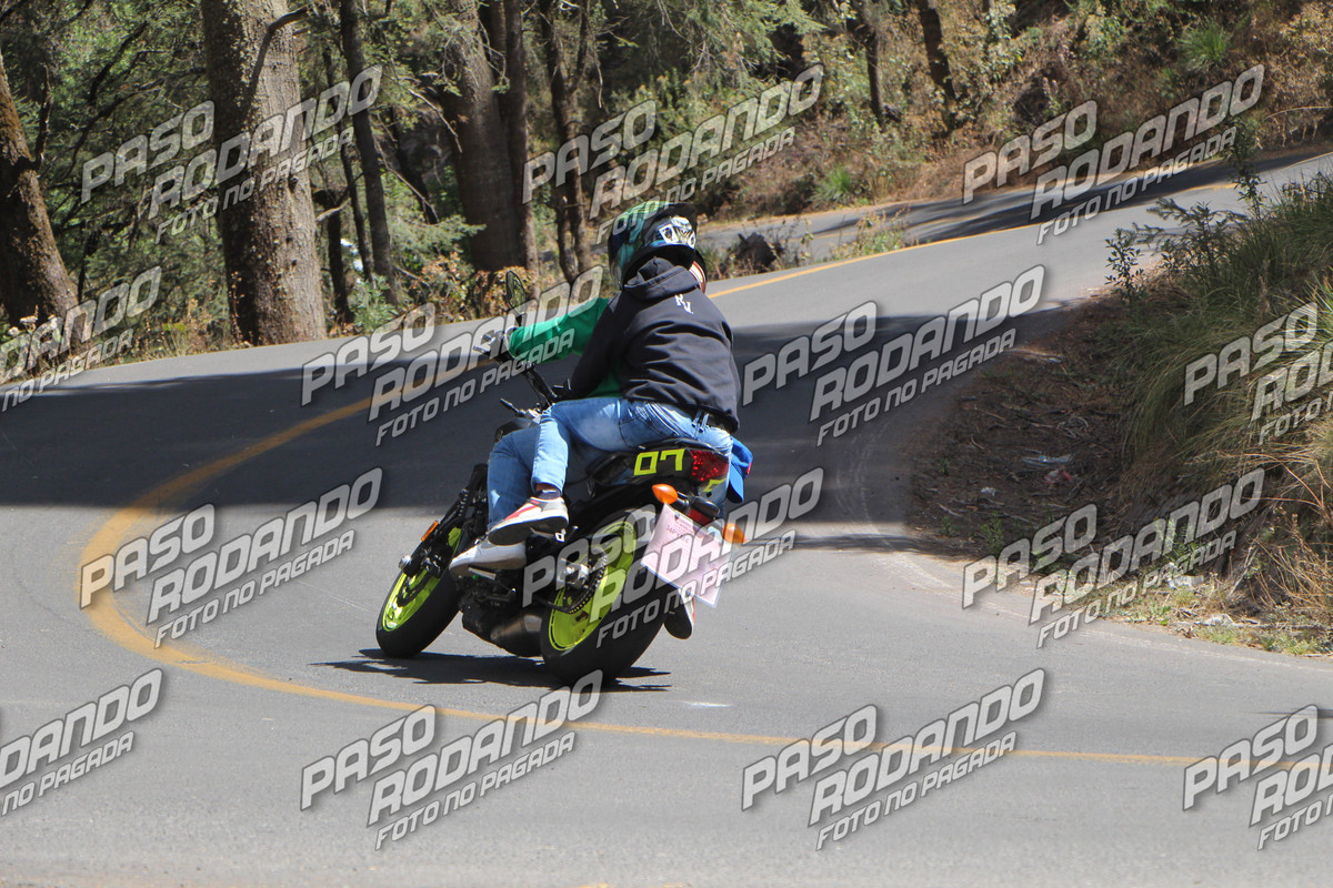 IMG 2133 wm 1076140 6 watermarked — Postimages