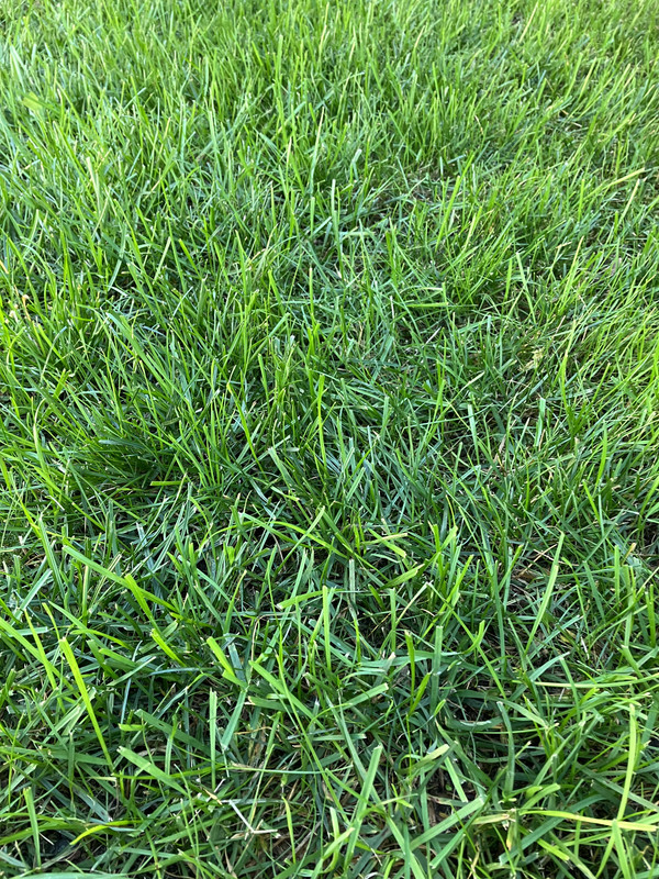 14524E3A-9D93-421D-B967-BAC56F584E70