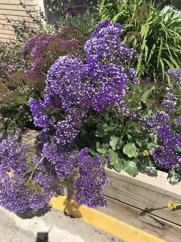 682A36F2-90BF-4AD6-9936-1F28A6DB82CF