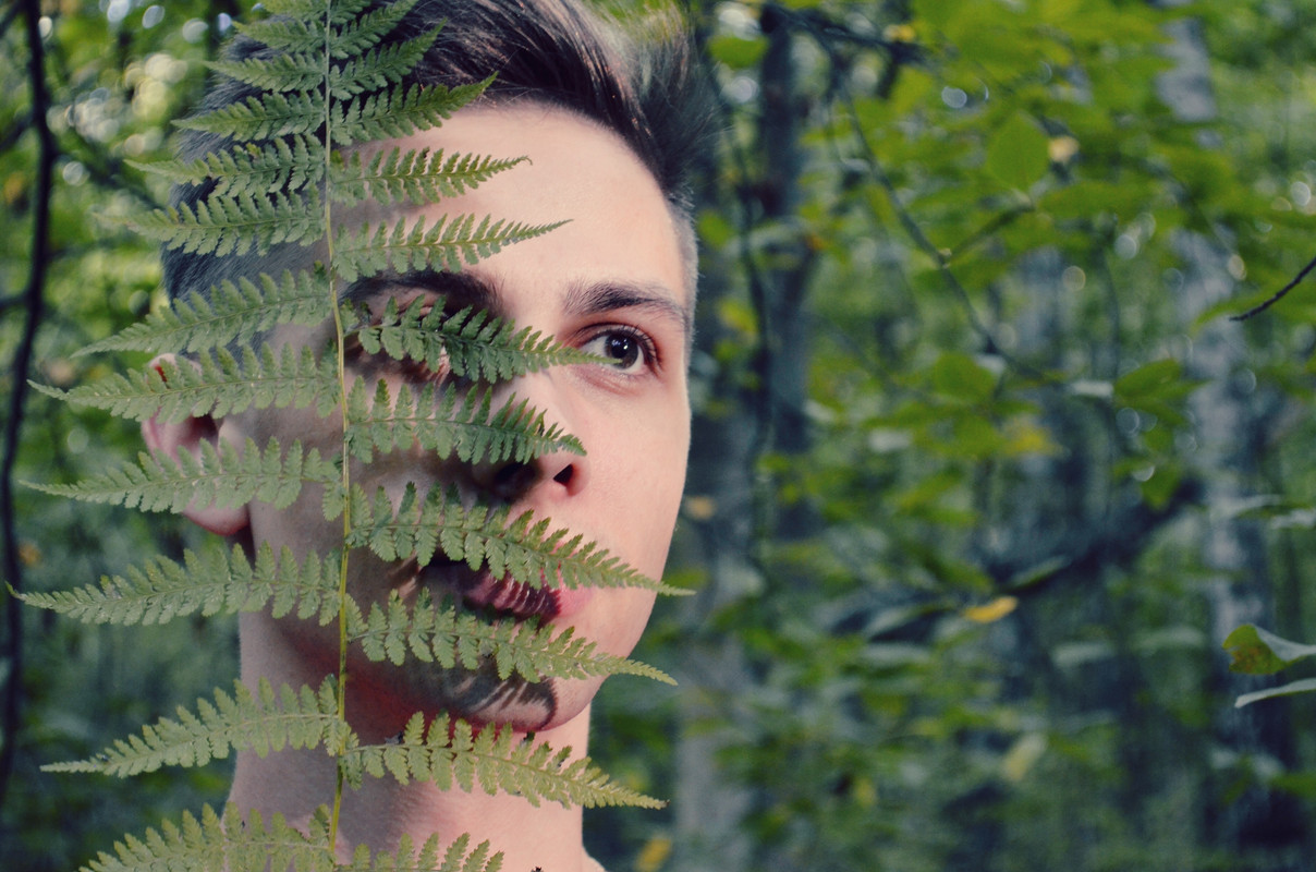 381D0713-1C65-478F-9A52-55C429ED37DA