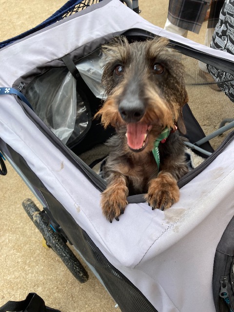 [Image: IMG-4157.jpg]