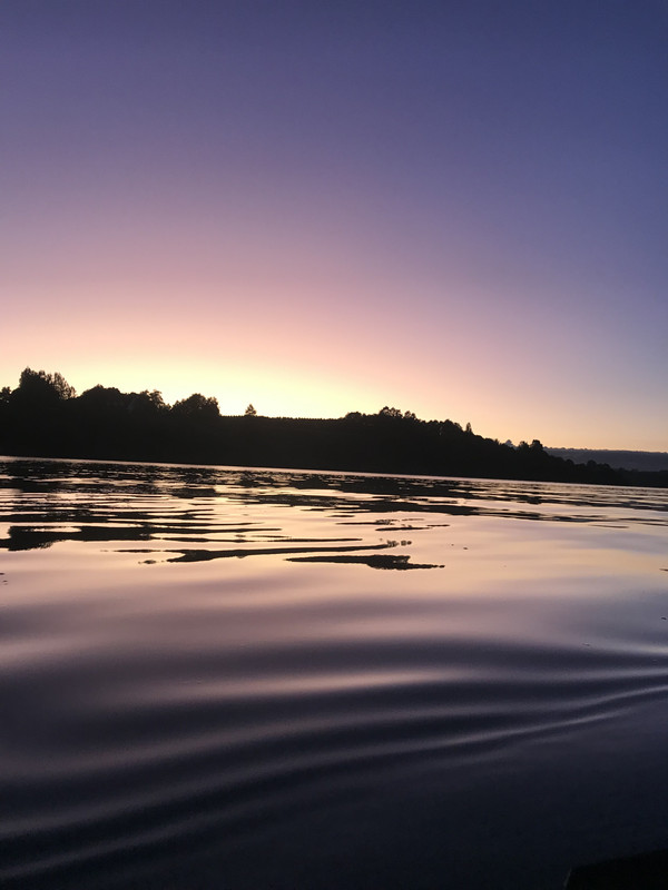 C66B0EA7-5E9B-4DEC-A57B-8FCDAEA636A8