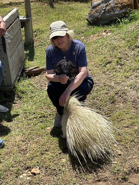 [Linked Image from i.postimg.cc]