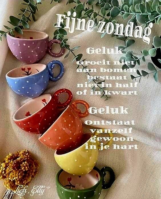 ZONDAG