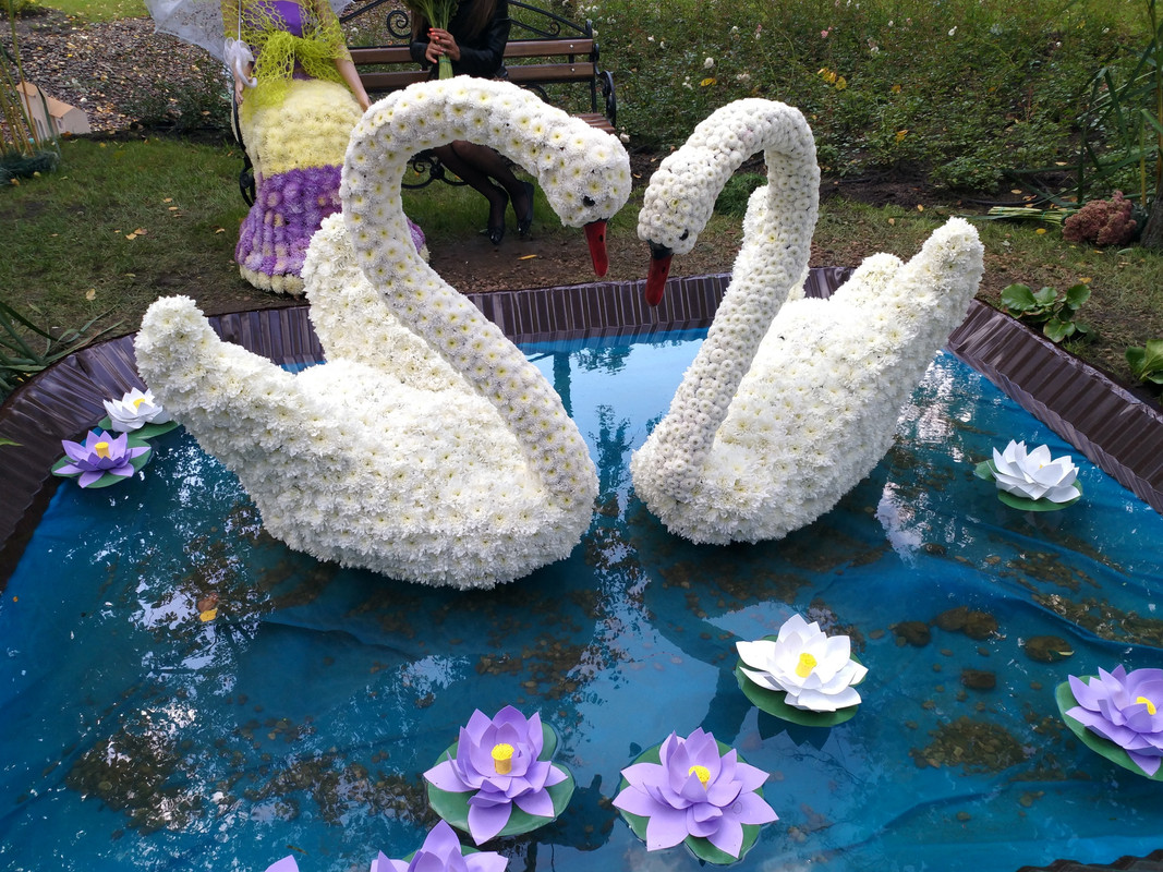 город-сад 2017-1-52