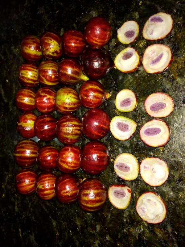 WhatsApp Image 2020-12-20 at 00.10.49 (40)