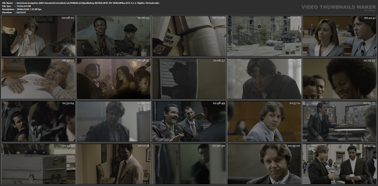 American.Gangster.2007.Unrated.Extended.Cut.HYBRID.2160p.BluRay.REMUX.HEVC.DV-HDR10Plus.DTS-X.7.1-Fl