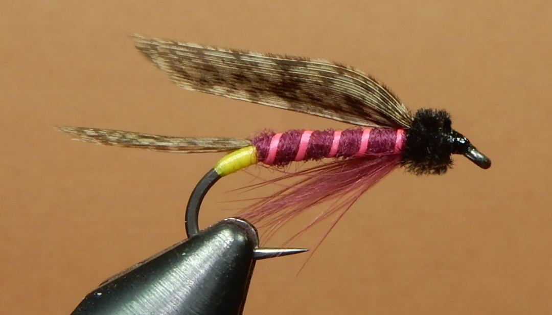 Oquassac-1080.jpg