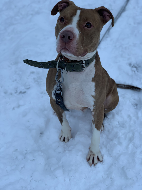 B998674B-237C-421B-BD72-30A3059422E7