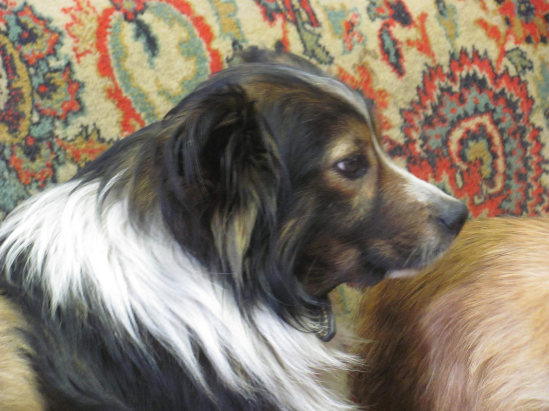 Изображение 040