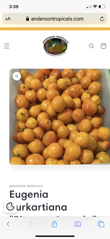 E70F036C-F7A8-413E-9DD1-DBA3F46DC8FB