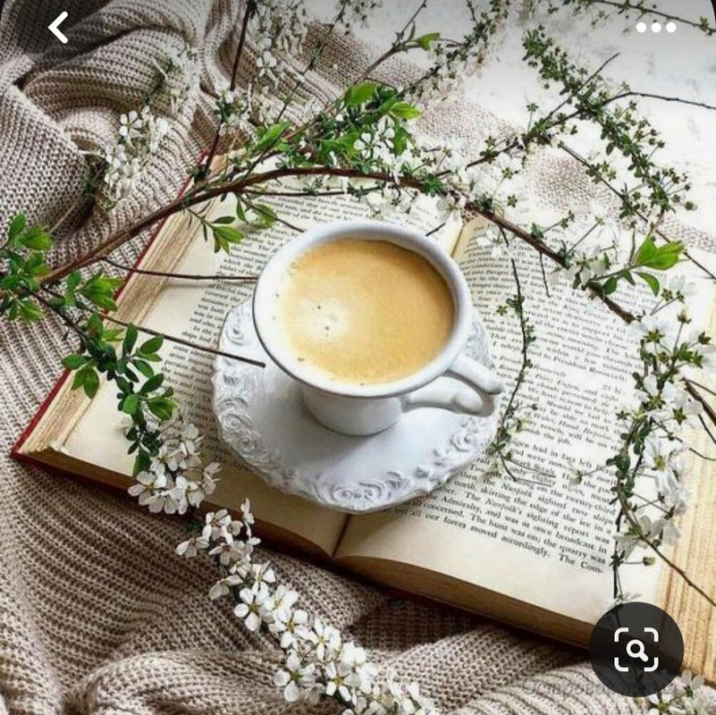 Screenshot_20230830_224902_Pinterest