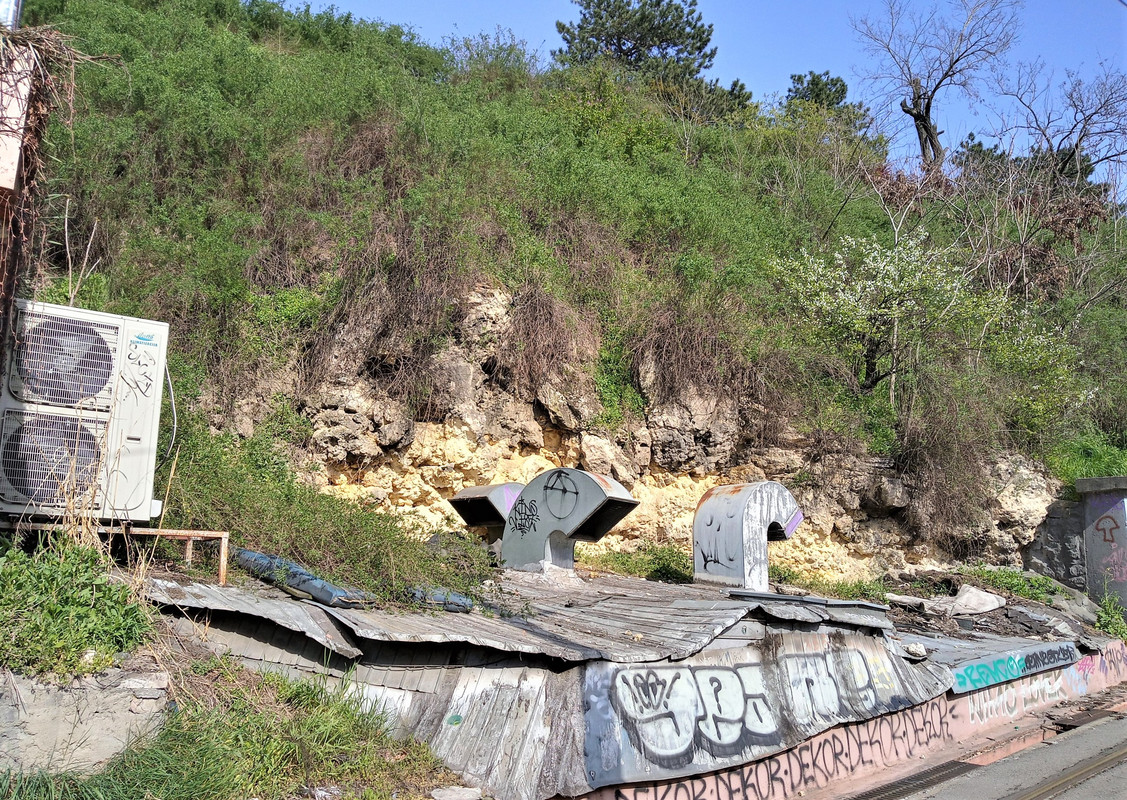 20200328_142451_HDR(1)