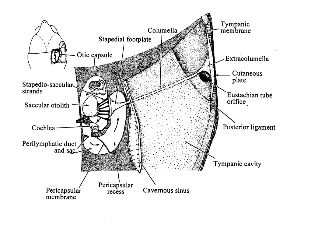 lb2005.jpg