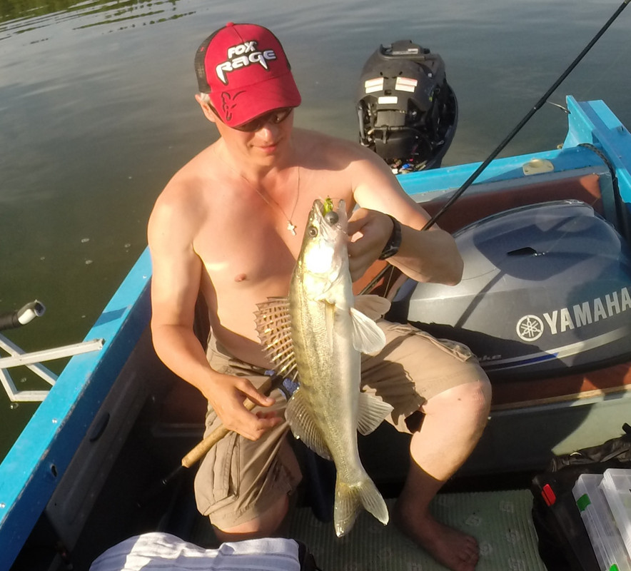 2 67 джиг спиннинг рыбалка  блесна воблер катушка  судак щука ок