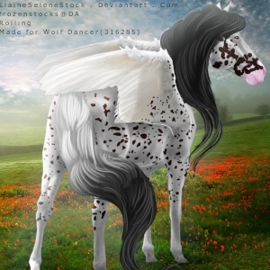 Spotty-Avi.png