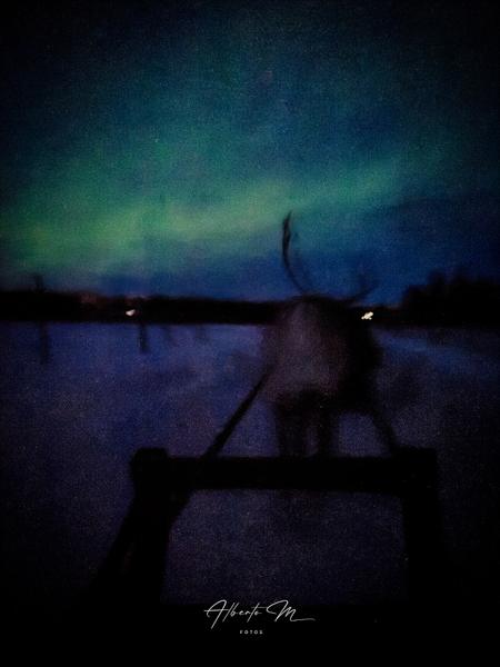 Auroras - 3.er reportaje por Laponia norte - Marzo 2025 - Blogs de Finlandia - PARTE I (48)