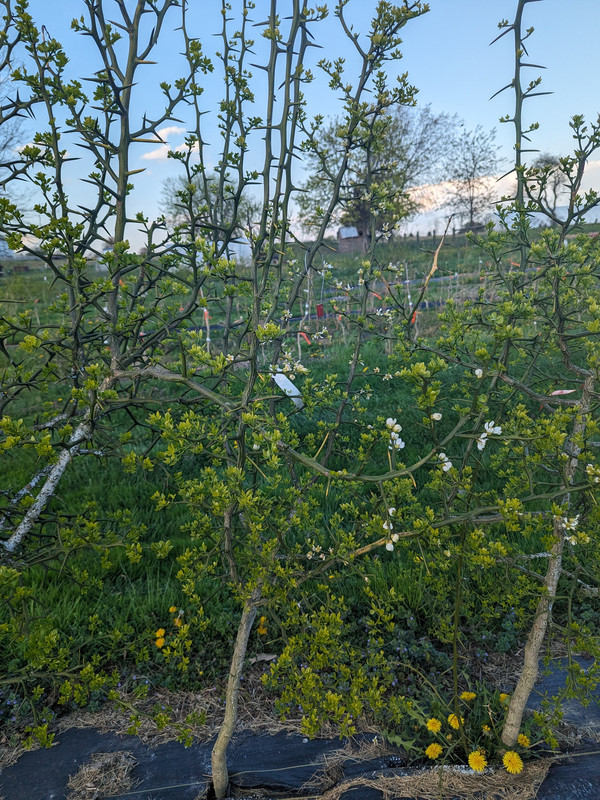 PXL_20240415_222104581