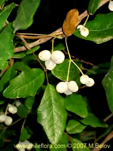 CIMG_1827_20140802012539568