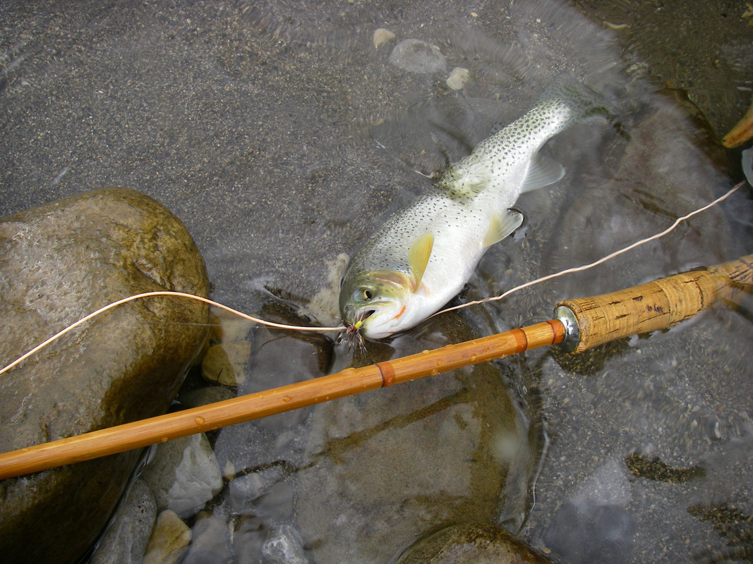 aug 30- sept 15-09 (9)