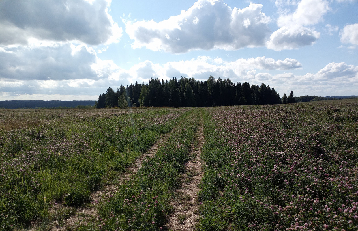 9C28537B-2DF9-45BB-8257-7C1E6252BF98