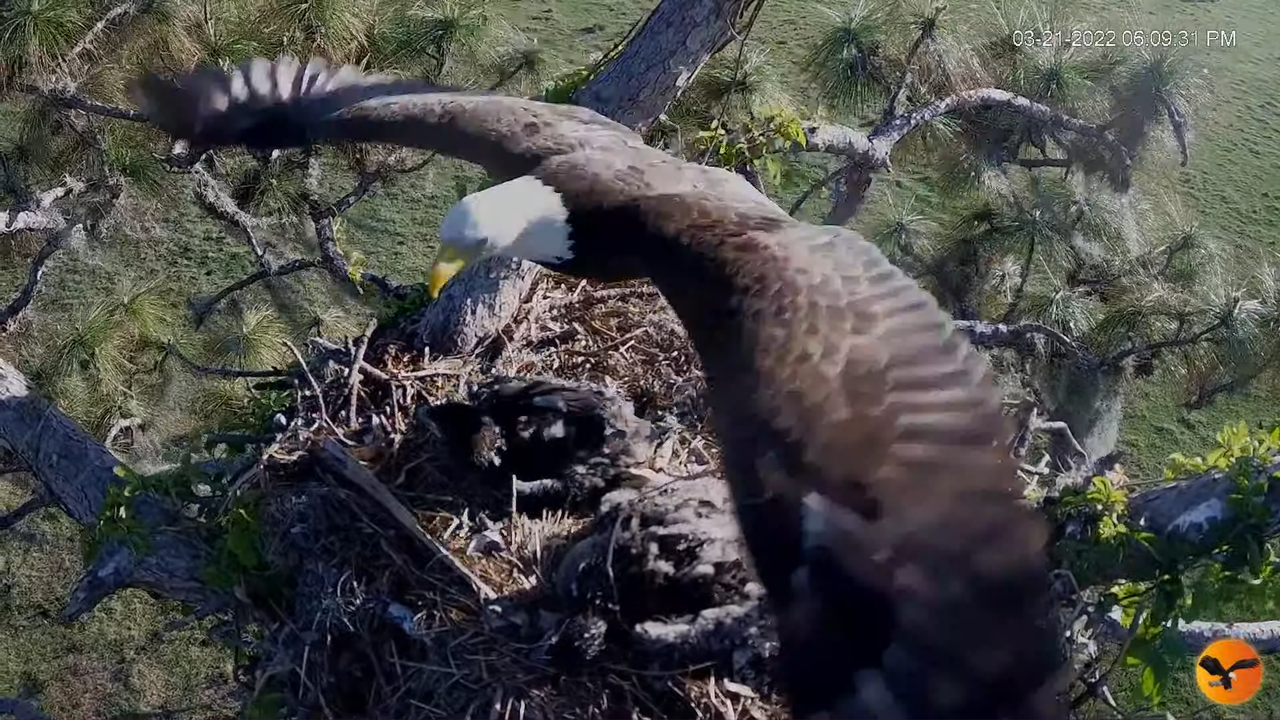 EC 4K Overhead Cam 3-8-32 screenshot