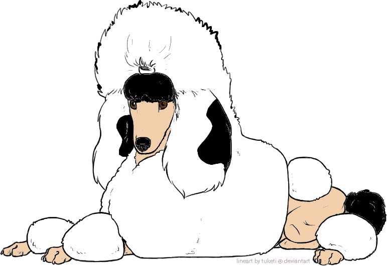 Premade-Poodle.png