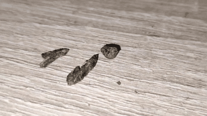 GIF-20250429-184926-766.gif