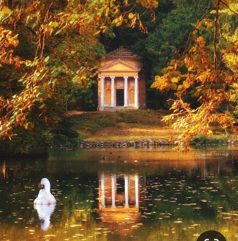 Screenshot_20231128_180910_Pinterest