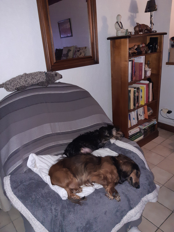 [Image: 20210127-191827.jpg]