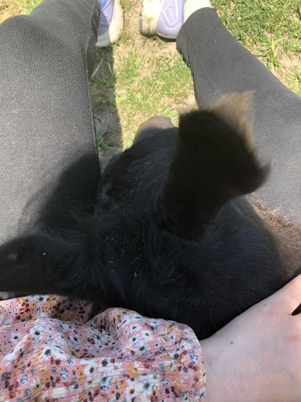 FADDC90C-3FEE-4096-9E5D-6E8118E1DF66