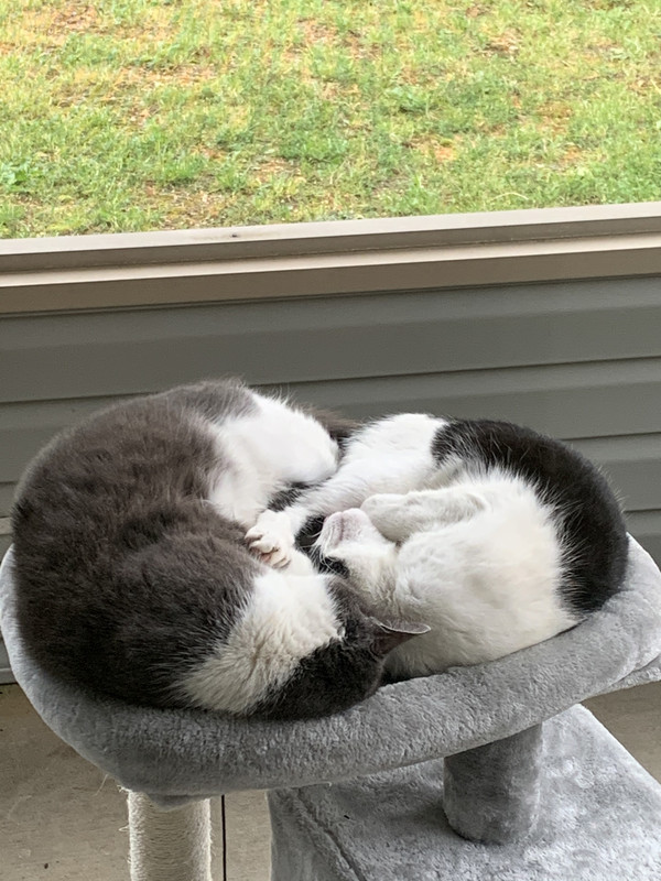 82E7F33A-6516-49C8-B4BA-6333EF2AA02E