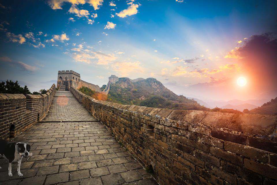 The-Great-Wall-of-China-Main-Photo.png