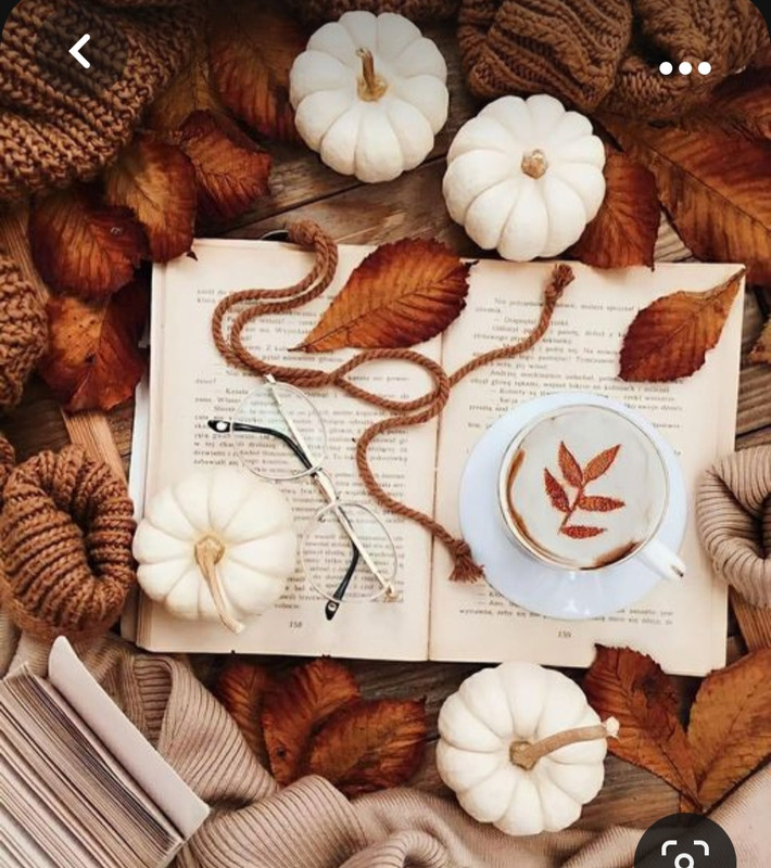 Screenshot_20231008_215333_Pinterest