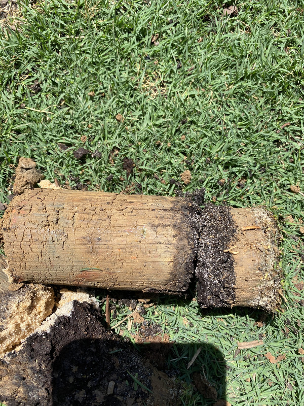 371ABC8E-3757-4EB9-9D24-A22A1CEAF379