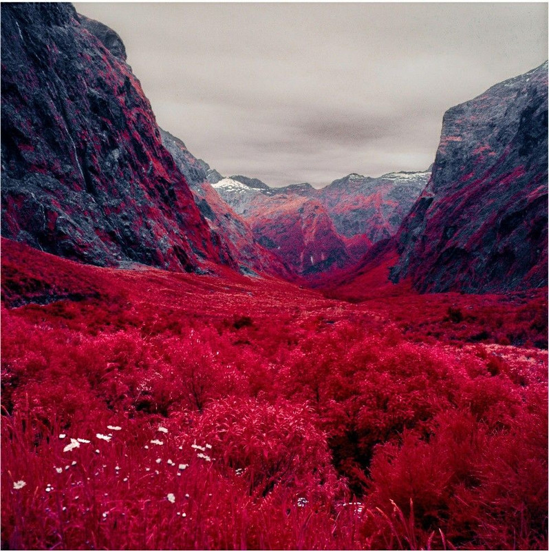 COUP DE TONNERRE : le gouvernement kabalien dévoile les premiers résultats son projet secret de reforestation