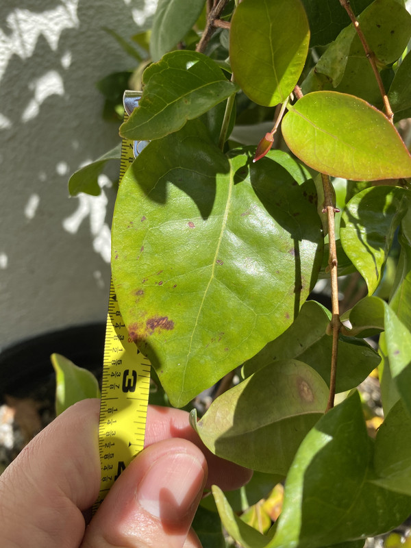 CF12585B-9785-458A-A542-8BD575C352C1