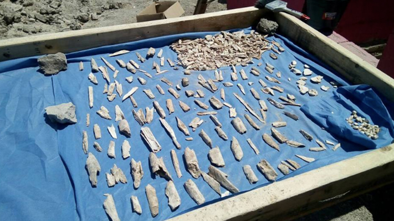 'El Pozolero', quien disolvió 300 cuerpos, podría ser liberado