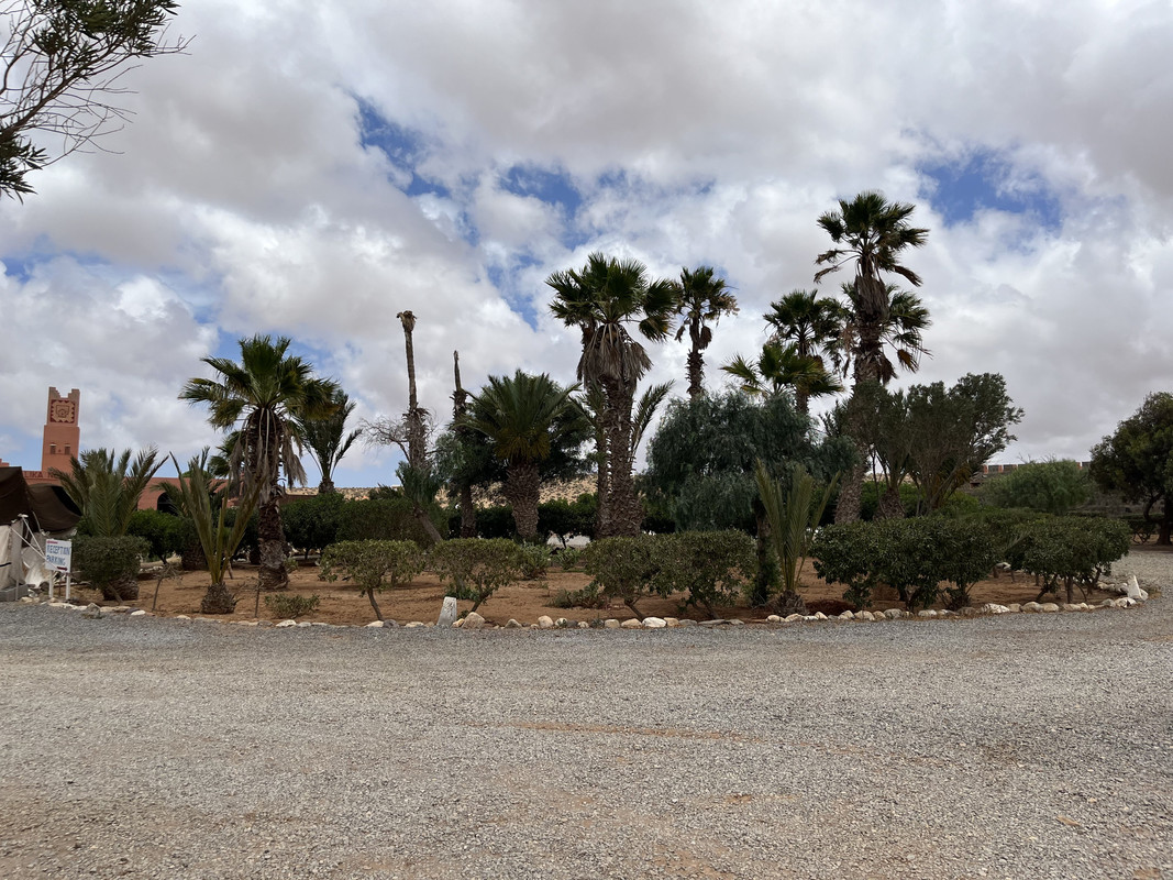 La Plage Blanche (Sidi Ifni) y Fort Boujeriff, Naturaleza-Marruecos (53)