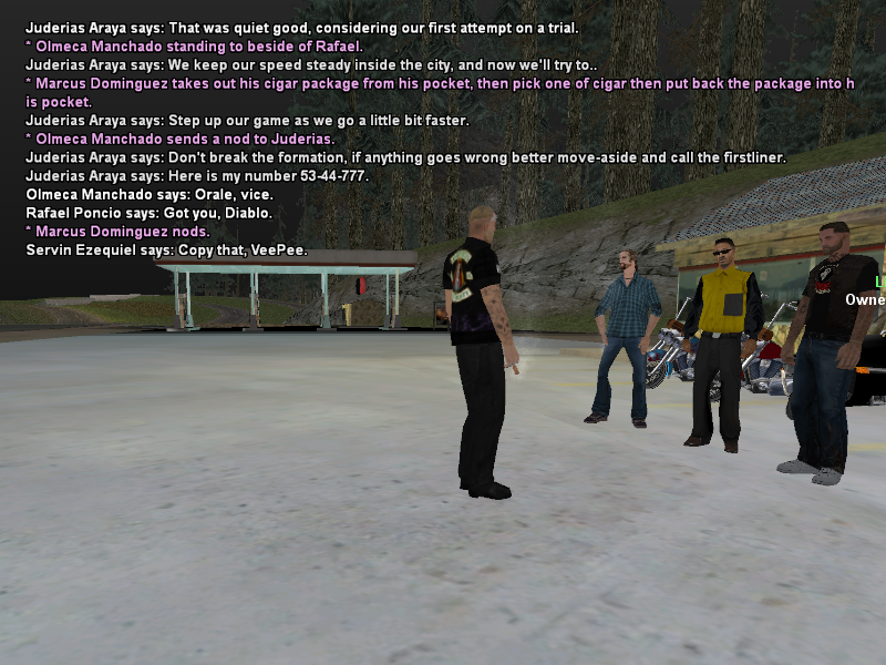 SSRoleplay336.png